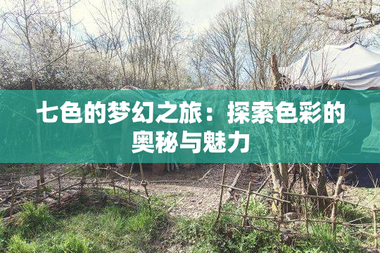 七色的梦幻之旅：探索色彩的奥秘与魅力
