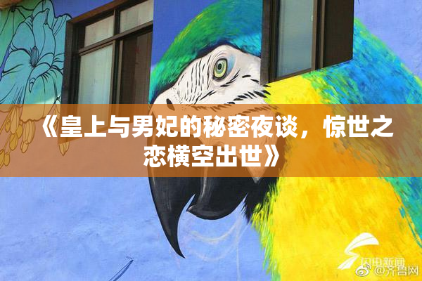 《皇上与男妃的秘密夜谈，惊世之恋横空出世》