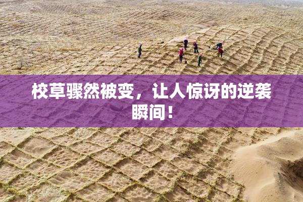 校草骤然被变，让人惊讶的逆袭瞬间！