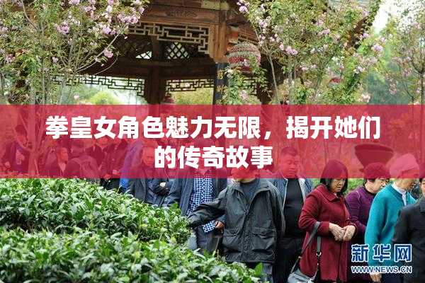 拳皇女角色魅力无限，揭开她们的传奇故事