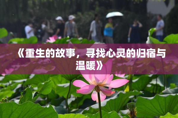 《重生的故事，寻找心灵的归宿与温暖》