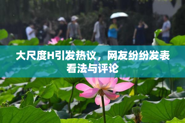 大尺度H引发热议，网友纷纷发表看法与评论