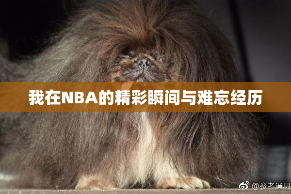 我在NBA的精彩瞬间与难忘经历