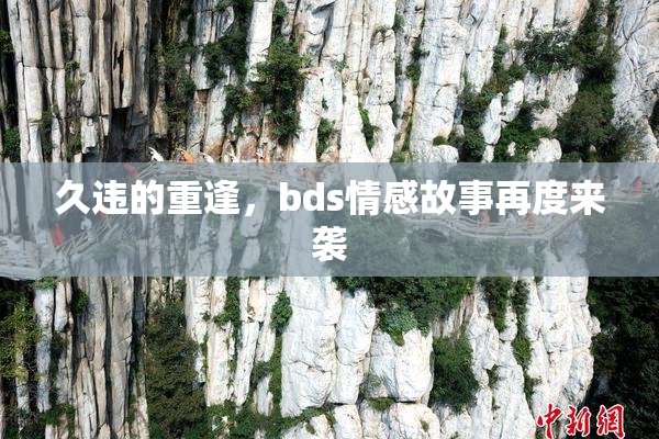 久违的重逢，bds情感故事再度来袭