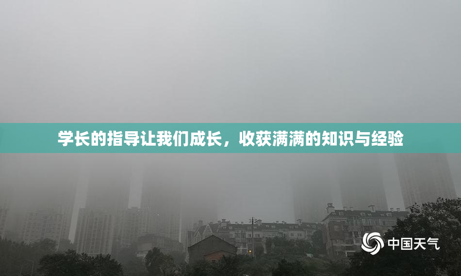学长的指导让我们成长，收获满满的知识与经验