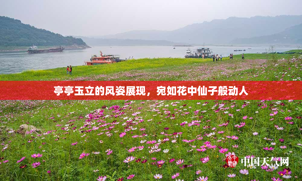 亭亭玉立的风姿展现，宛如花中仙子般动人