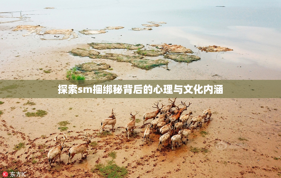 探索sm捆绑秘背后的心理与文化内涵