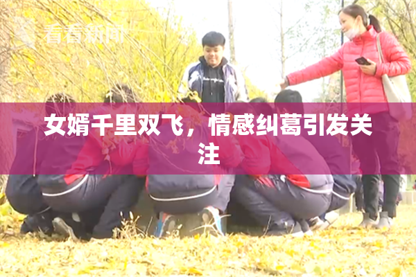 女婿千里双飞，情感纠葛引发关注