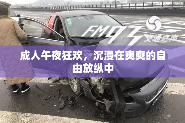 成人午夜狂欢，沉浸在爽爽的自由放纵中