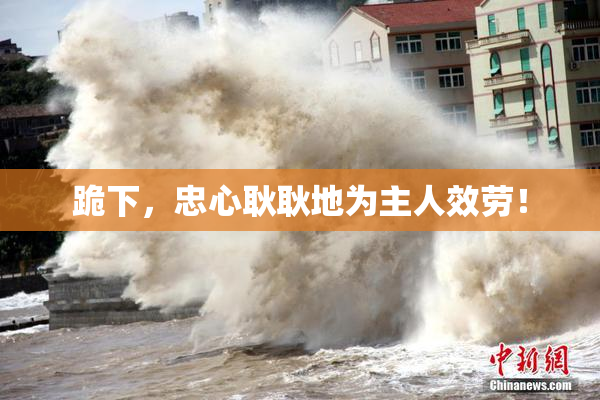 跪下，忠心耿耿地为主人效劳！