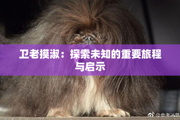 卫老摸淑：探索未知的重要旅程与启示