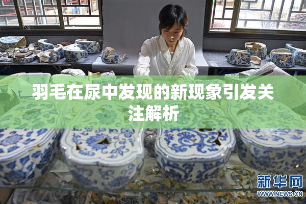 羽毛在尿中发现的新现象引发关注解析