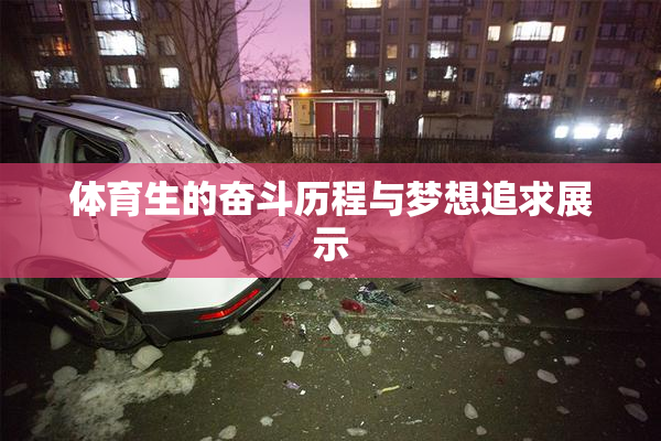 体育生的奋斗历程与梦想追求展示
