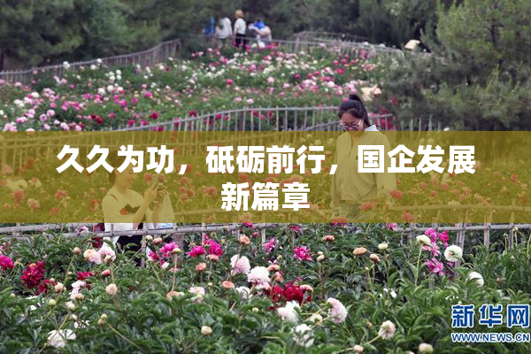 久久为功，砥砺前行，国企发展新篇章