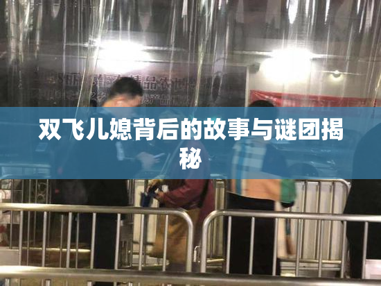 双飞儿媳背后的故事与谜团揭秘