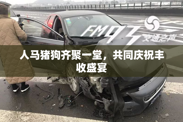 人马猪狗齐聚一堂，共同庆祝丰收盛宴