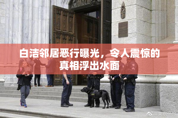 白洁邻居恶行曝光，令人震惊的真相浮出水面
