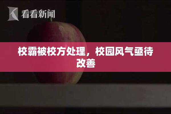 校霸被校方处理，校园风气亟待改善