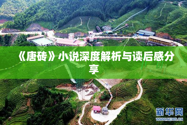 《唐砖》小说深度解析与读后感分享