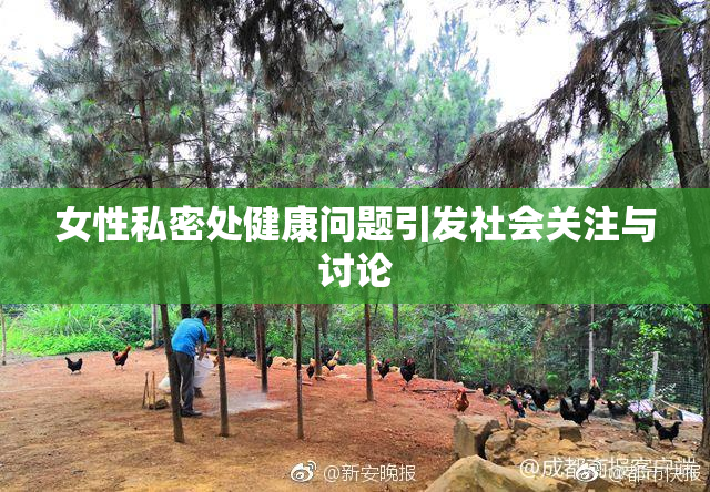 女性私密处健康问题引发社会关注与讨论