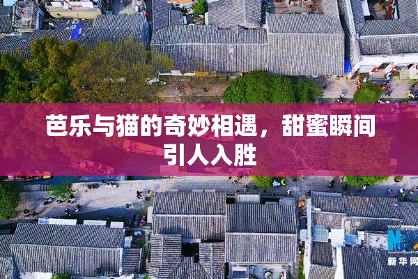 芭乐与猫的奇妙相遇，甜蜜瞬间引人入胜