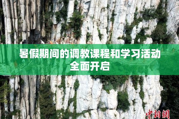 暑假期间的调教课程和学习活动全面开启