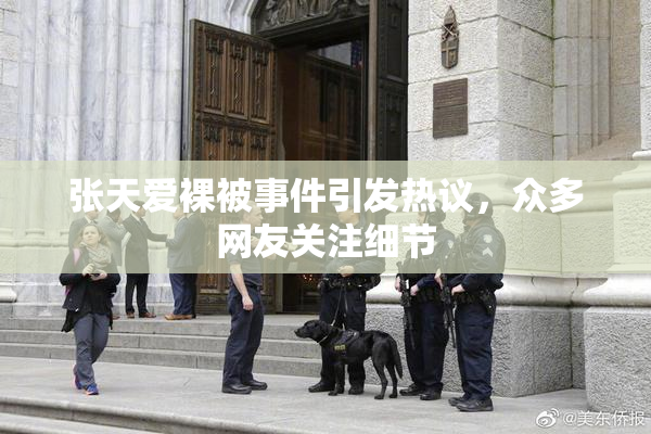 张天爱裸被事件引发热议，众多网友关注细节