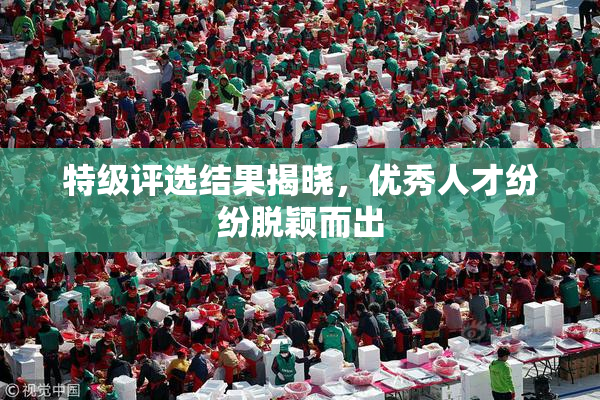 特级评选结果揭晓，优秀人才纷纷脱颖而出