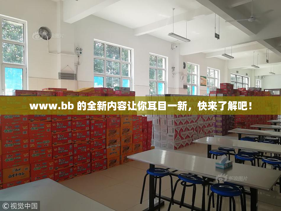 www.bb 的全新内容让你耳目一新，快来了解吧！