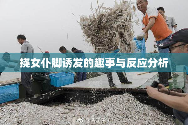 挠女仆脚诱发的趣事与反应分析
