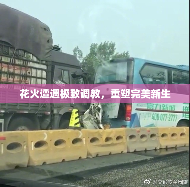 花火遭遇极致调教，重塑完美新生