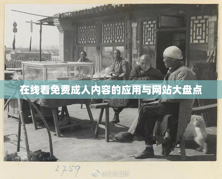 在线看免费成人内容的应用与网站大盘点