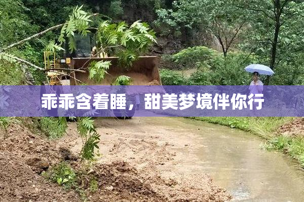 乖乖含着睡，甜美梦境伴你行