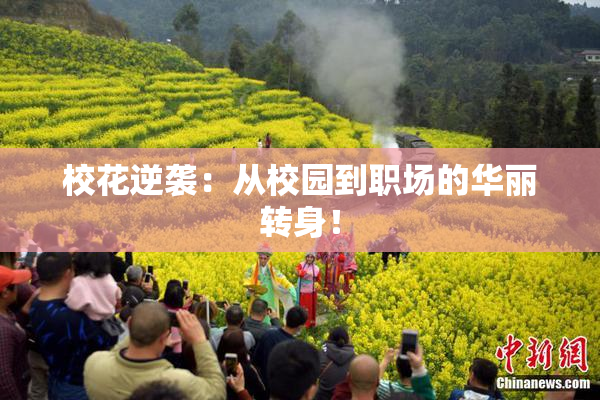 校花逆袭：从校园到职场的华丽转身！