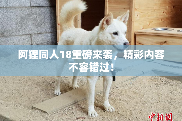 阿狸同人18重磅来袭，精彩内容不容错过！