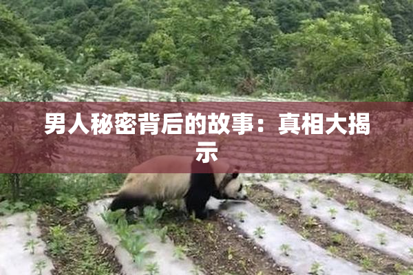 男人秘密背后的故事：真相大揭示