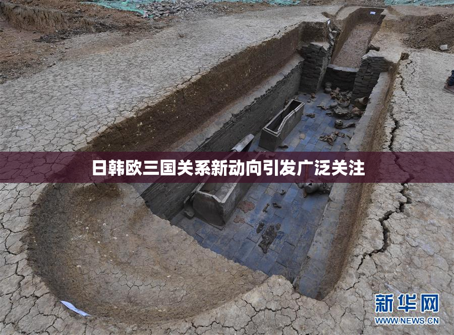日韩欧三国关系新动向引发广泛关注