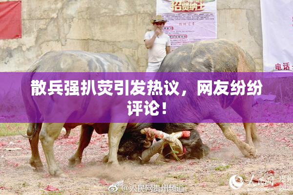散兵强扒荧引发热议，网友纷纷评论！