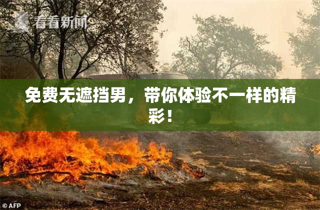 免费无遮挡男，带你体验不一样的精彩！