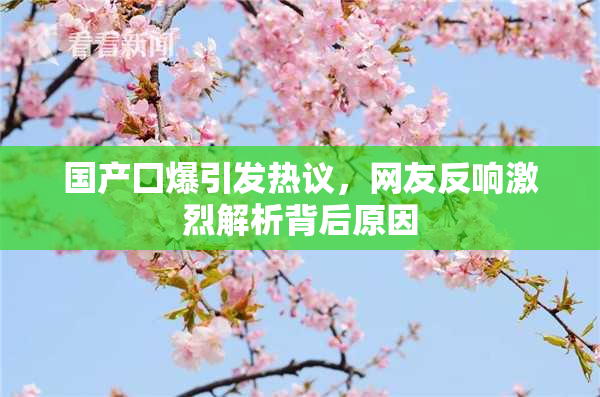 国产囗爆引发热议，网友反响激烈解析背后原因
