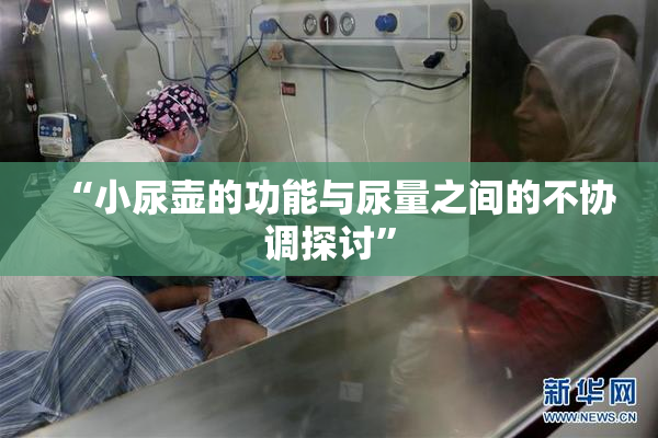 “小尿壶的功能与尿量之间的不协调探讨”