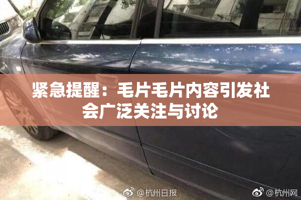 紧急提醒：毛片毛片内容引发社会广泛关注与讨论