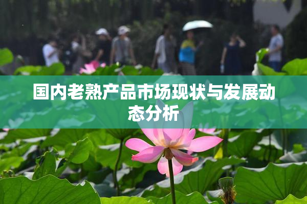 国内老熟产品市场现状与发展动态分析