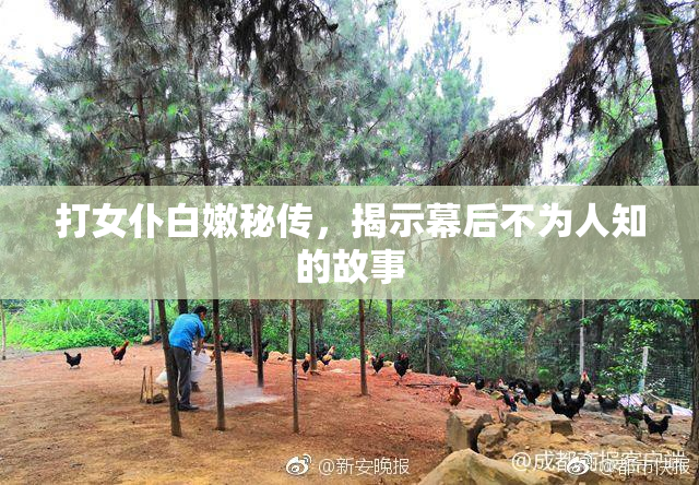 打女仆白嫩秘传，揭示幕后不为人知的故事
