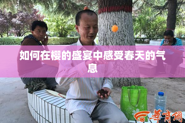 如何在樱的盛宴中感受春天的气息