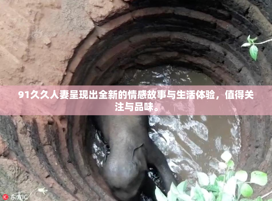 91久久人妻呈现出全新的情感故事与生活体验，值得关注与品味。