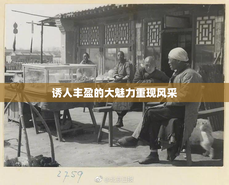 诱人丰盈的大魅力重现风采