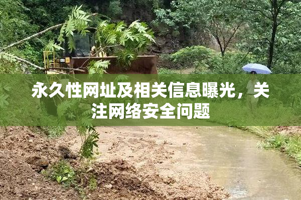 永久性网址及相关信息曝光，关注网络安全问题