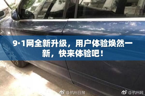 9·1网全新升级，用户体验焕然一新，快来体验吧！