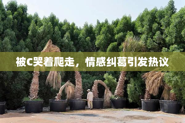 被C哭着爬走，情感纠葛引发热议